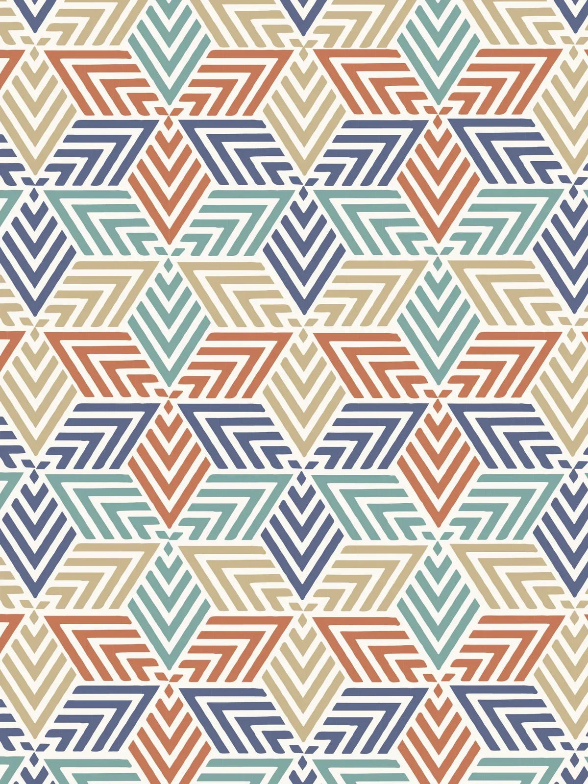 Cotton Lycra / Multicolor