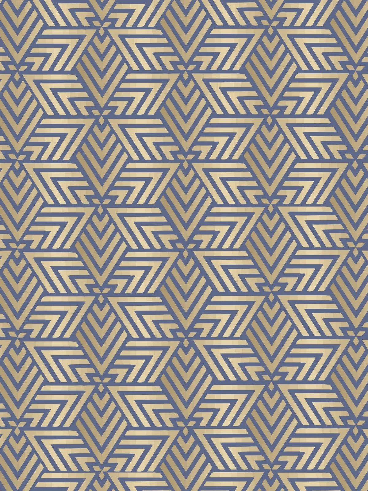Cotton Lycra / Multicolor