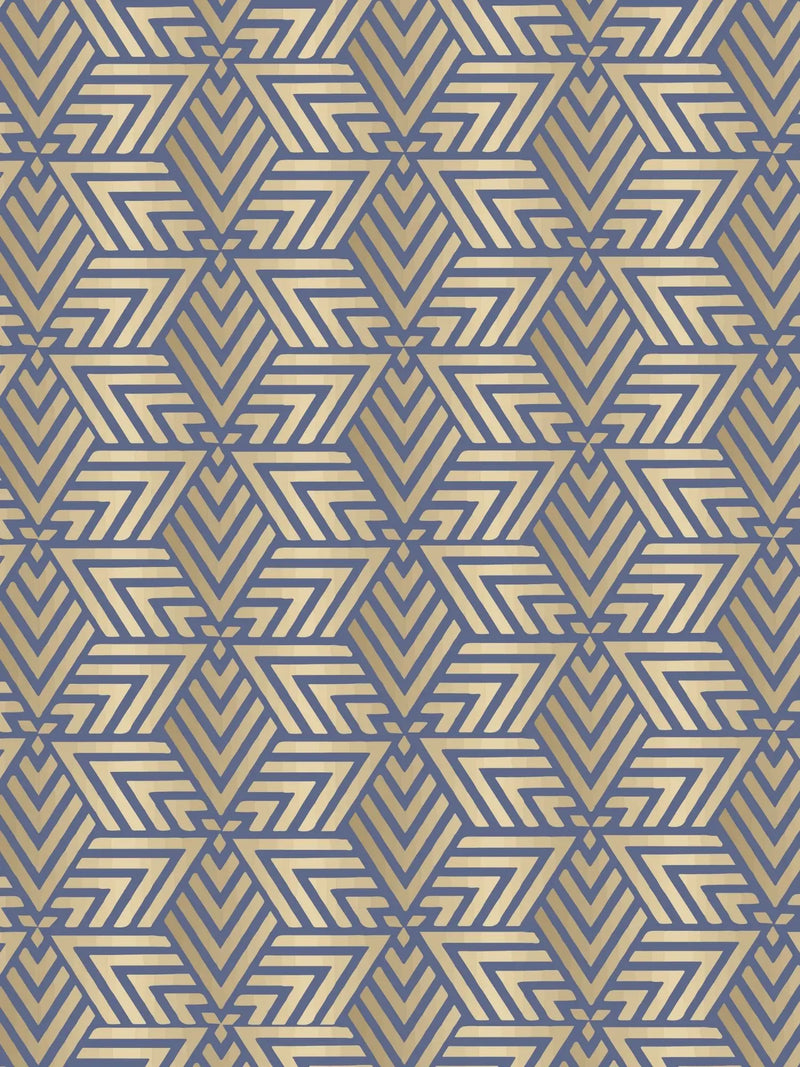 Cotton Lycra / Multicolor