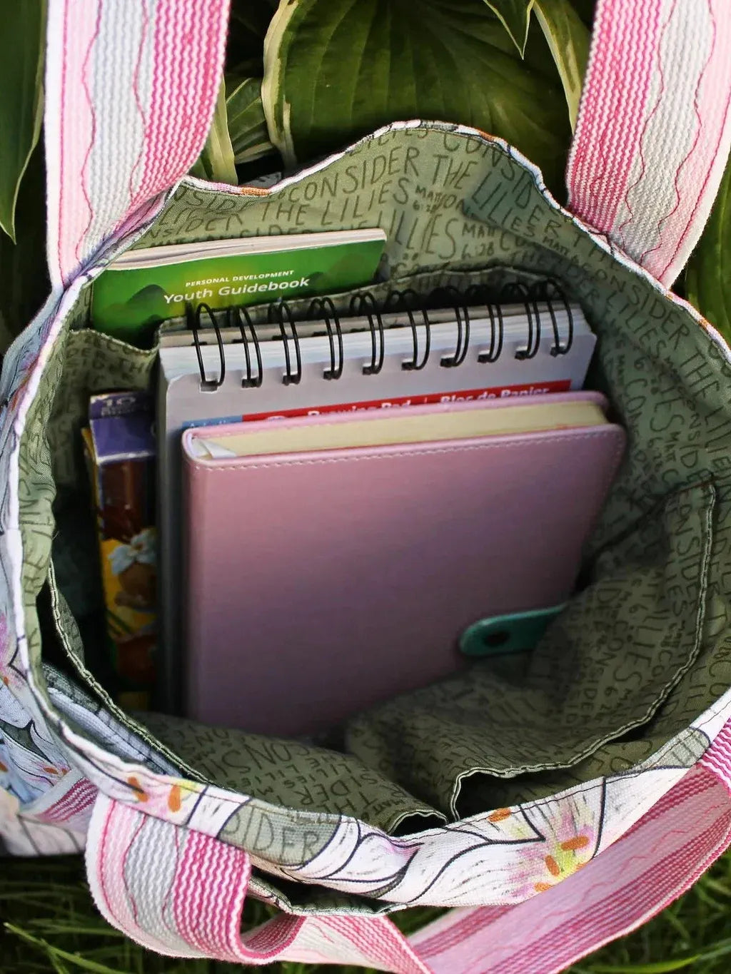 A green fabric bag with pink striped handles holds books and a guidebook.