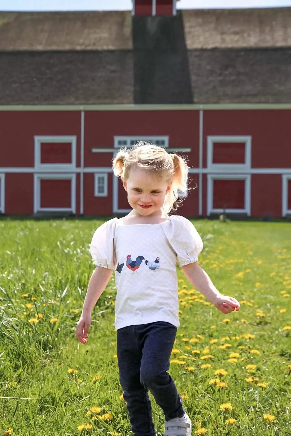A young girl wears a white shirt with a patchwork chicken design in a field.