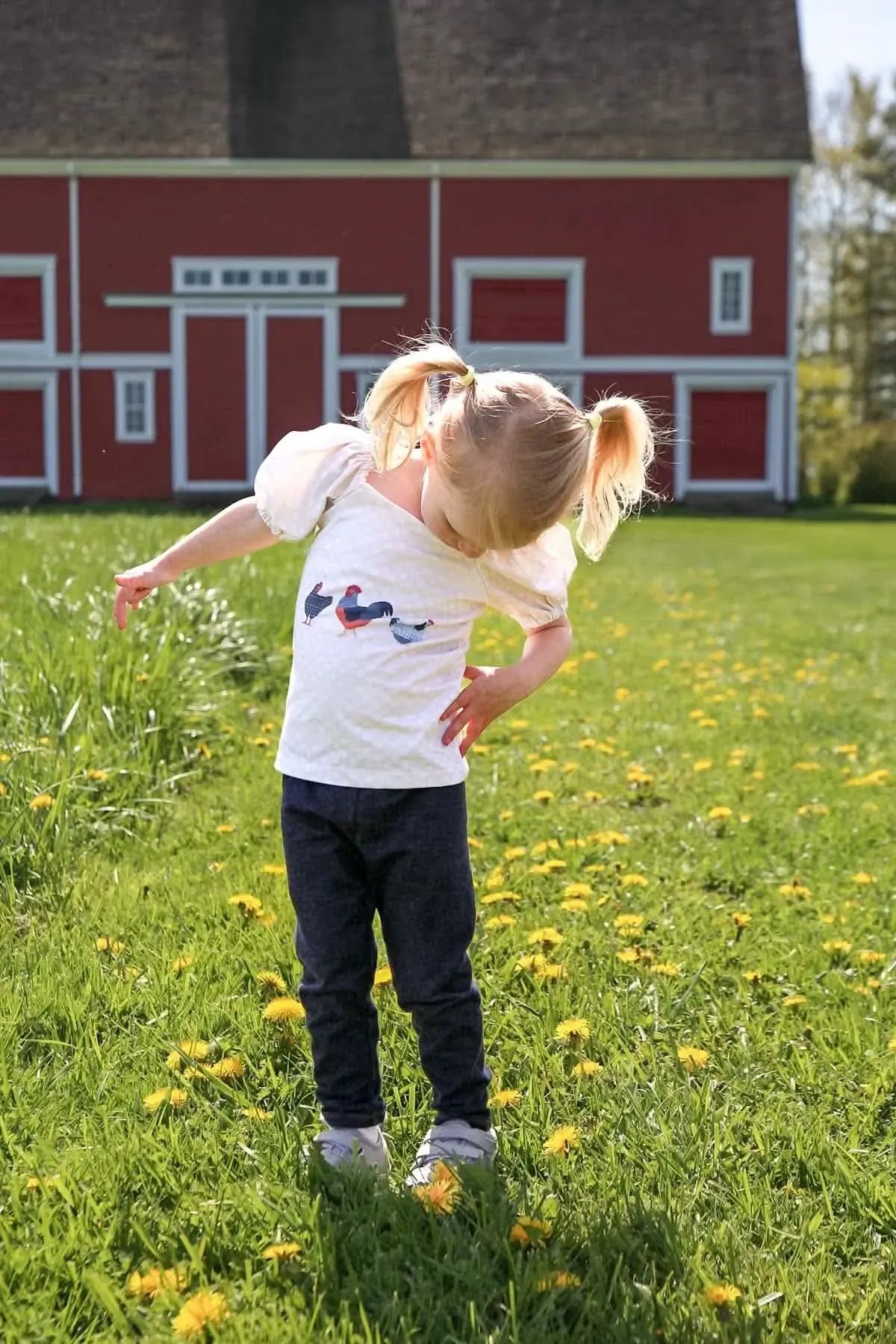 A child in a white shirt with patchwork chickens stands in a field of dandelions.