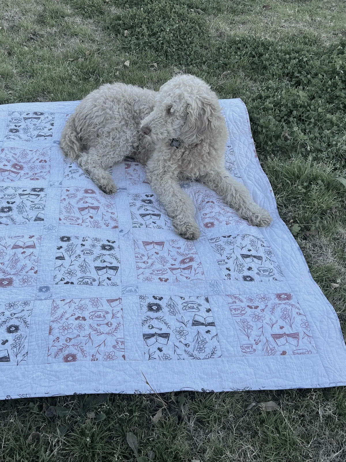 A cream-colored dog lies on a light blue quilt with charcoal and tea-colored toile patterns.