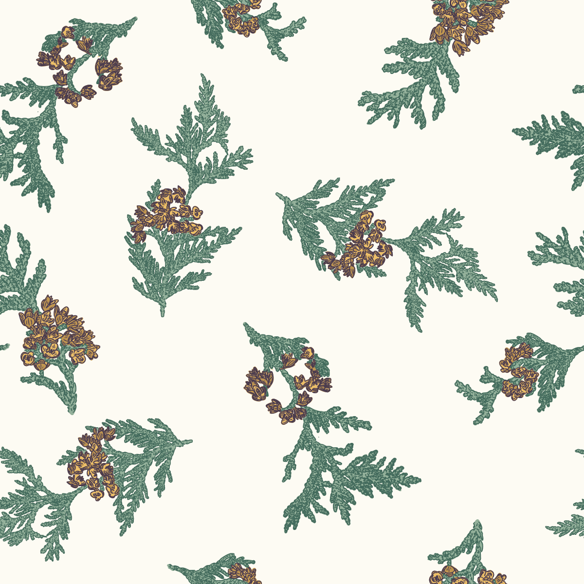 Yarrow