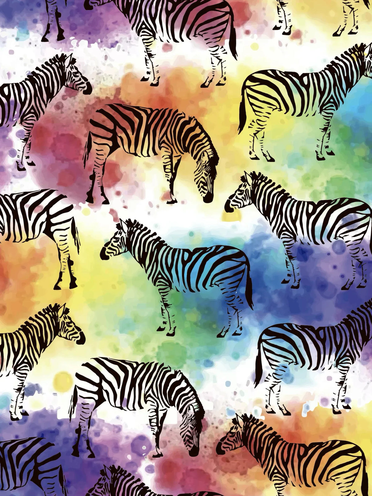 Cotton Lycra / Multicolor