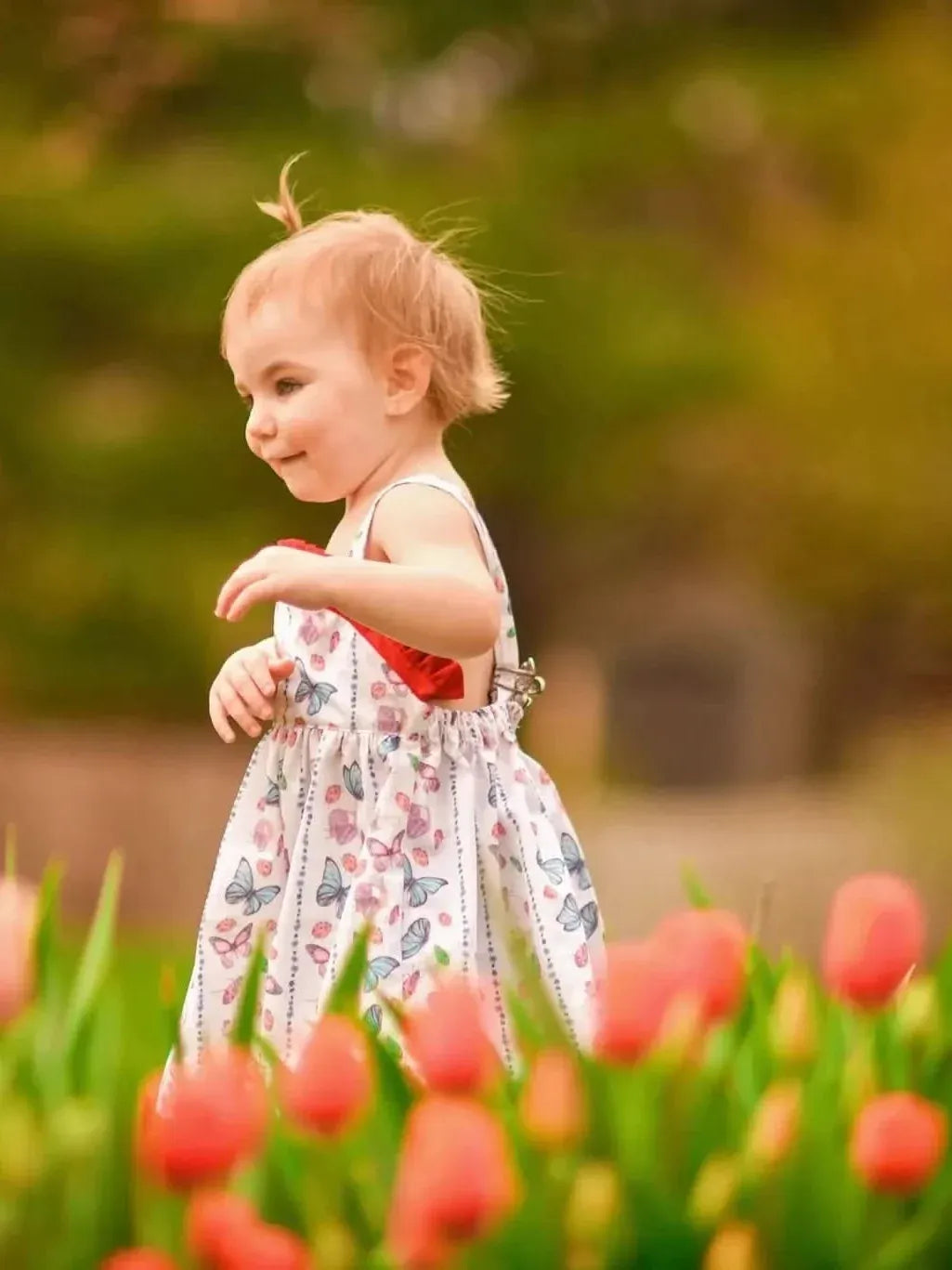 A young child in a butterfly-print dress stands among red tulips.