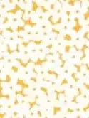 Fabric with an orange background and white overlapped floral pattern.
