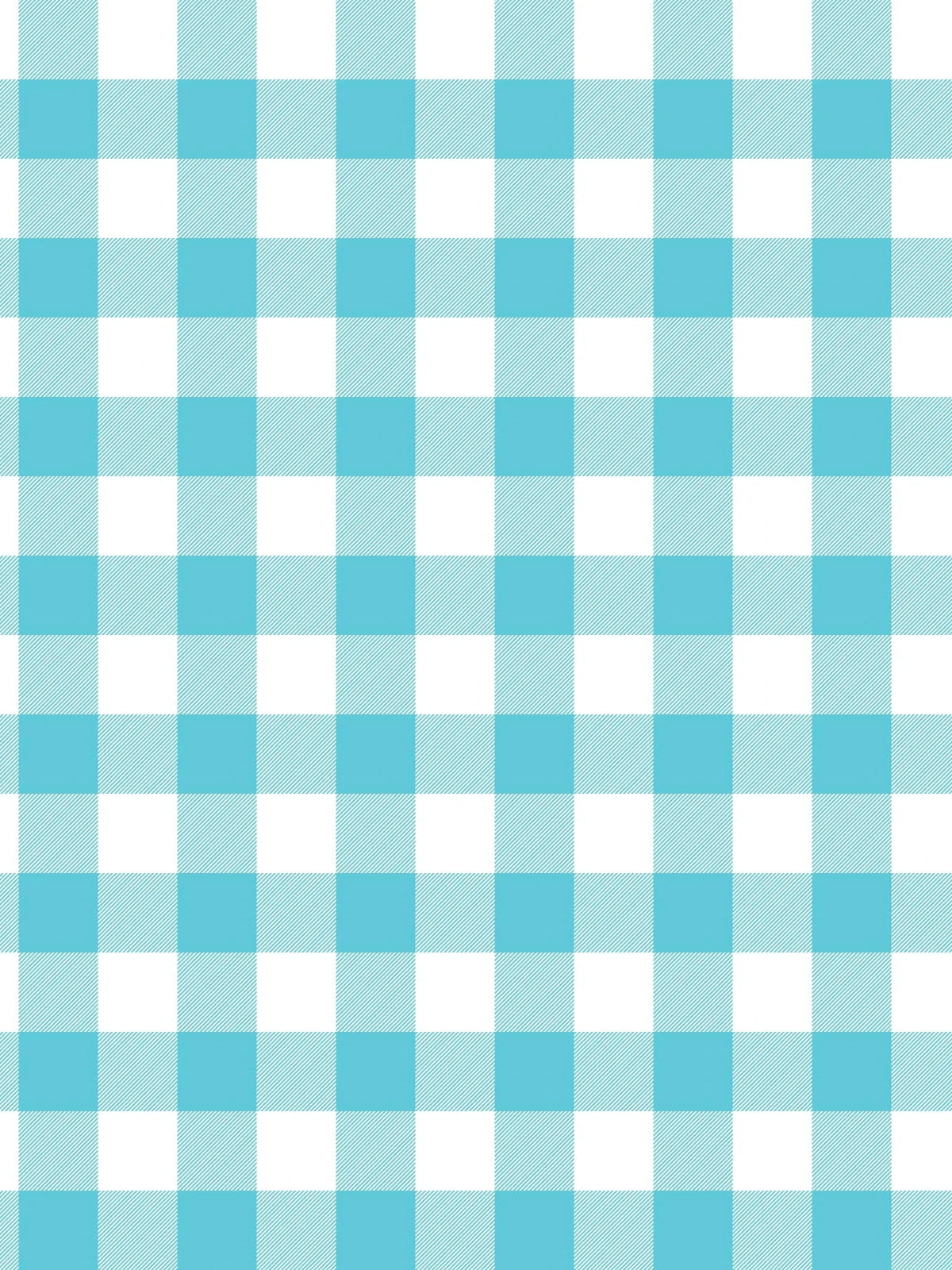 Light blue and white gingham pattern with diagonal lines on the blue squares.