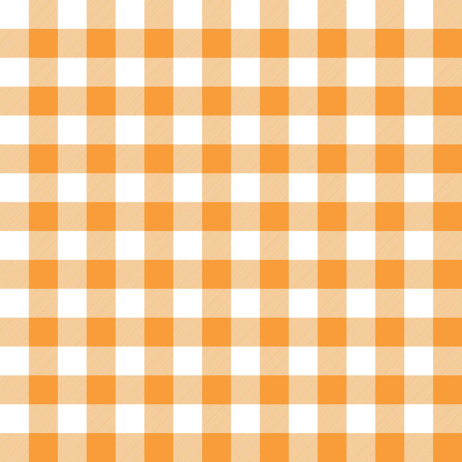 Orange Gingham Fabric - WayMaker Fabrics