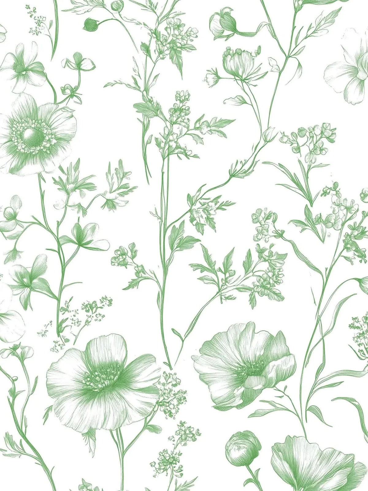 Green botanical line art on a white background.