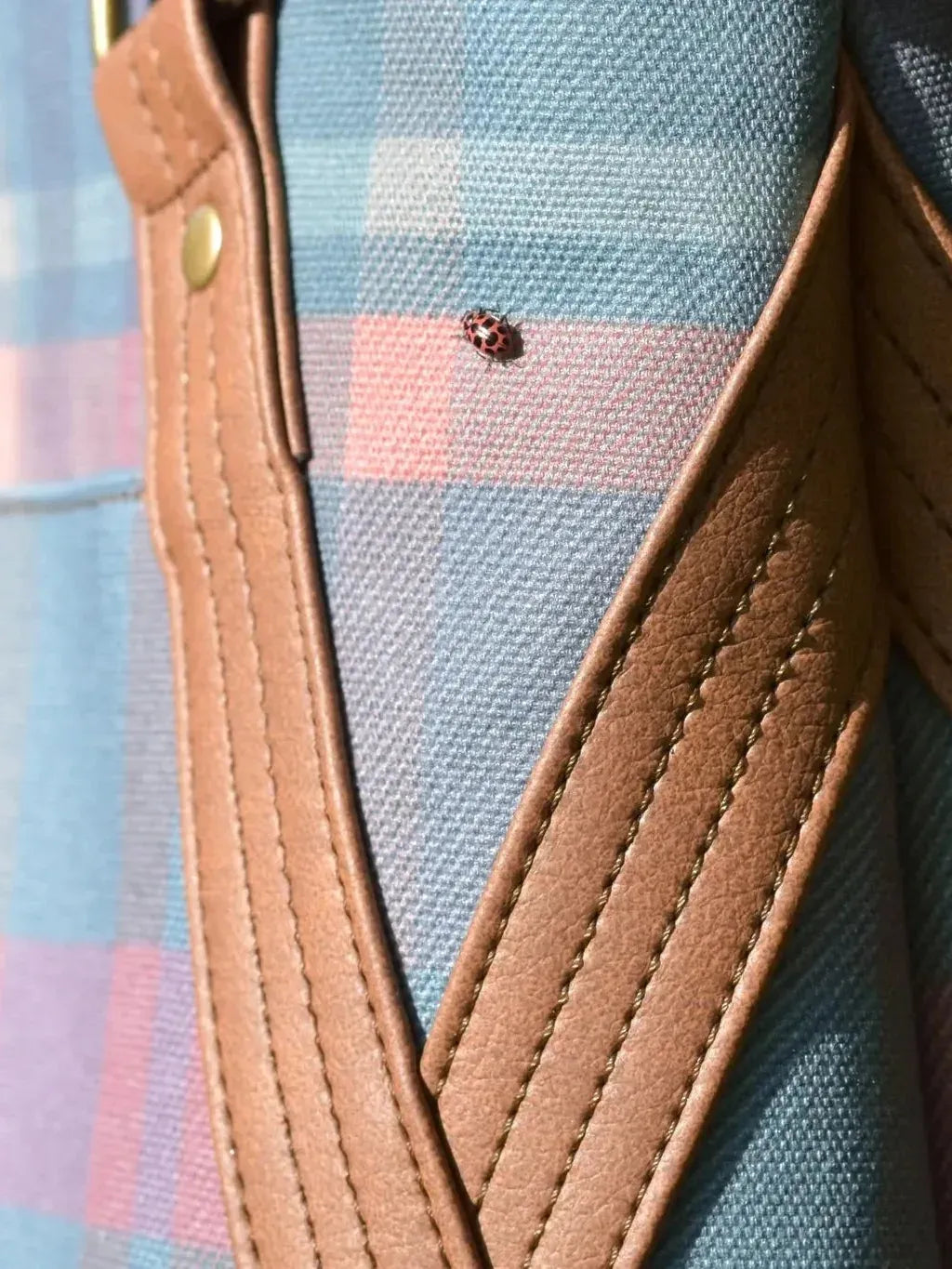A ladybug rests on a teal plaid fabric with brown leather straps.