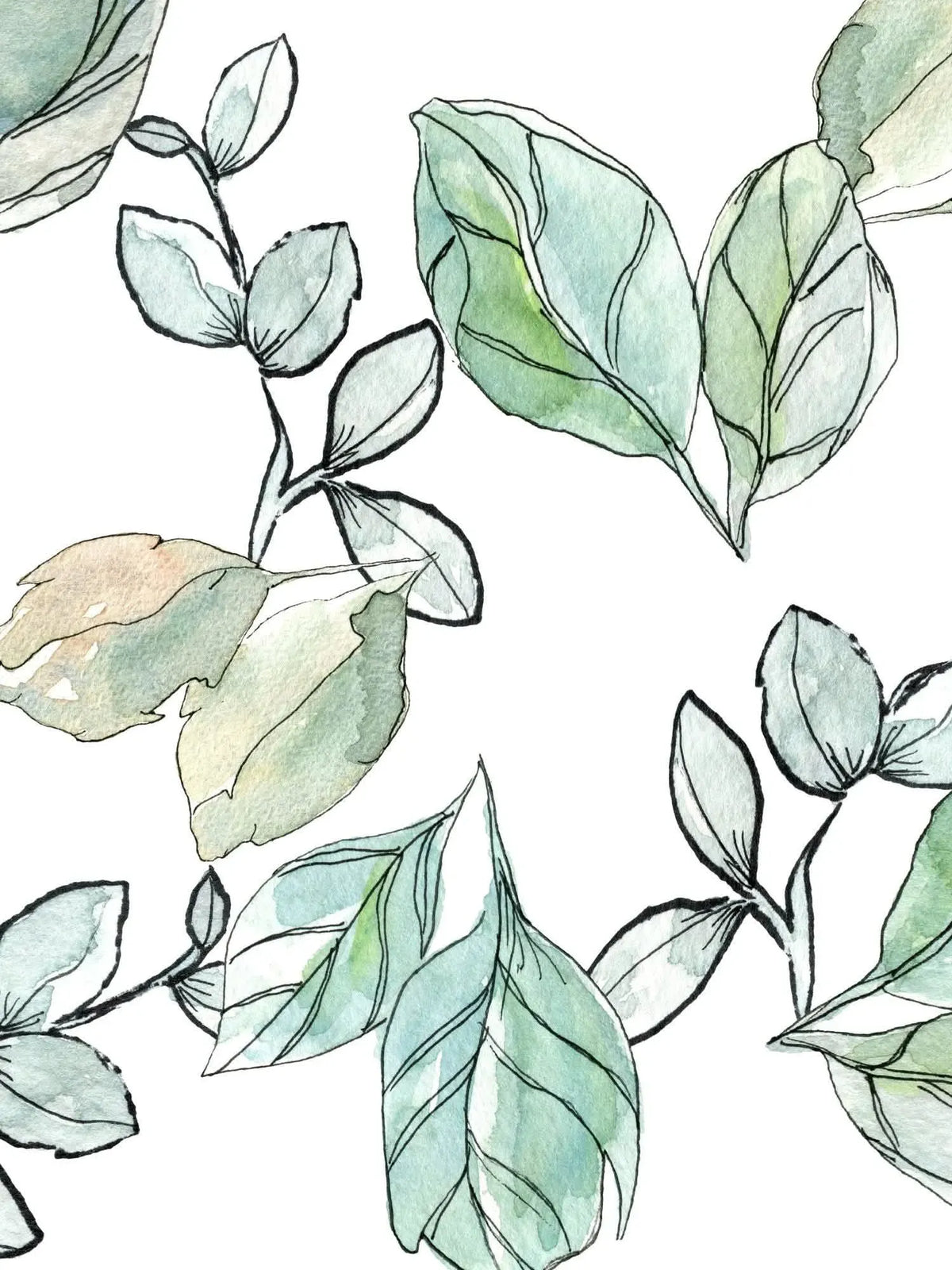 Watercolor illustration of green and light brown leaves on a white background.