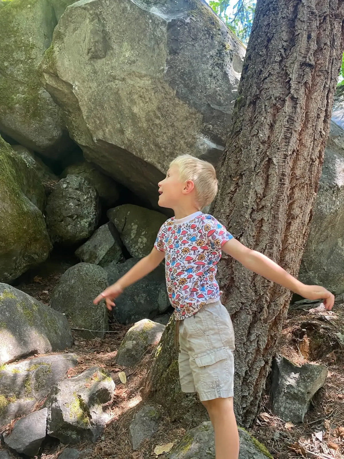 A young boy in a mushroom and fairy print shirt stands among large rocks and a tree.