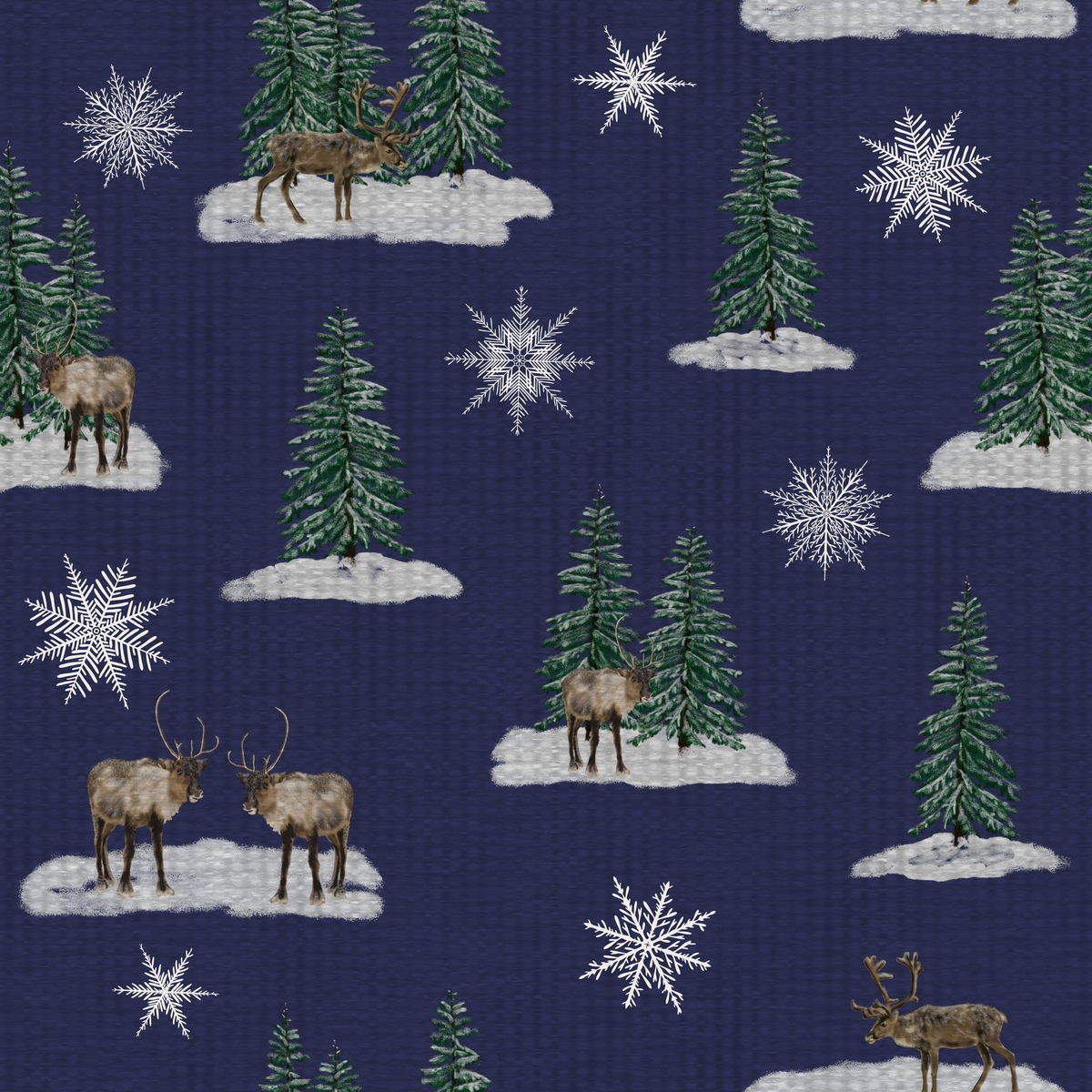 Stag