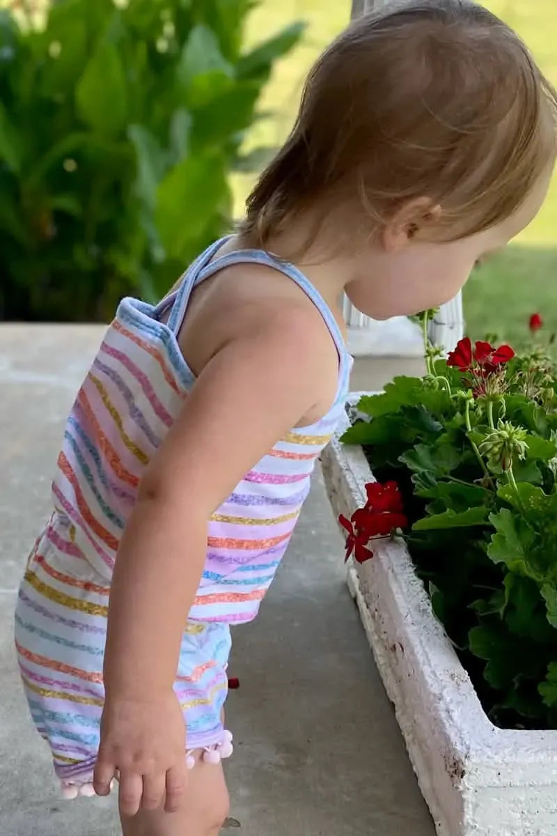 A child in a cotton candy stripe outfit looks at red flowers in a planter.