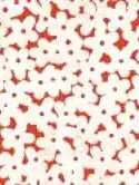 Red fabric with an overlapped floral pattern of white flowers.