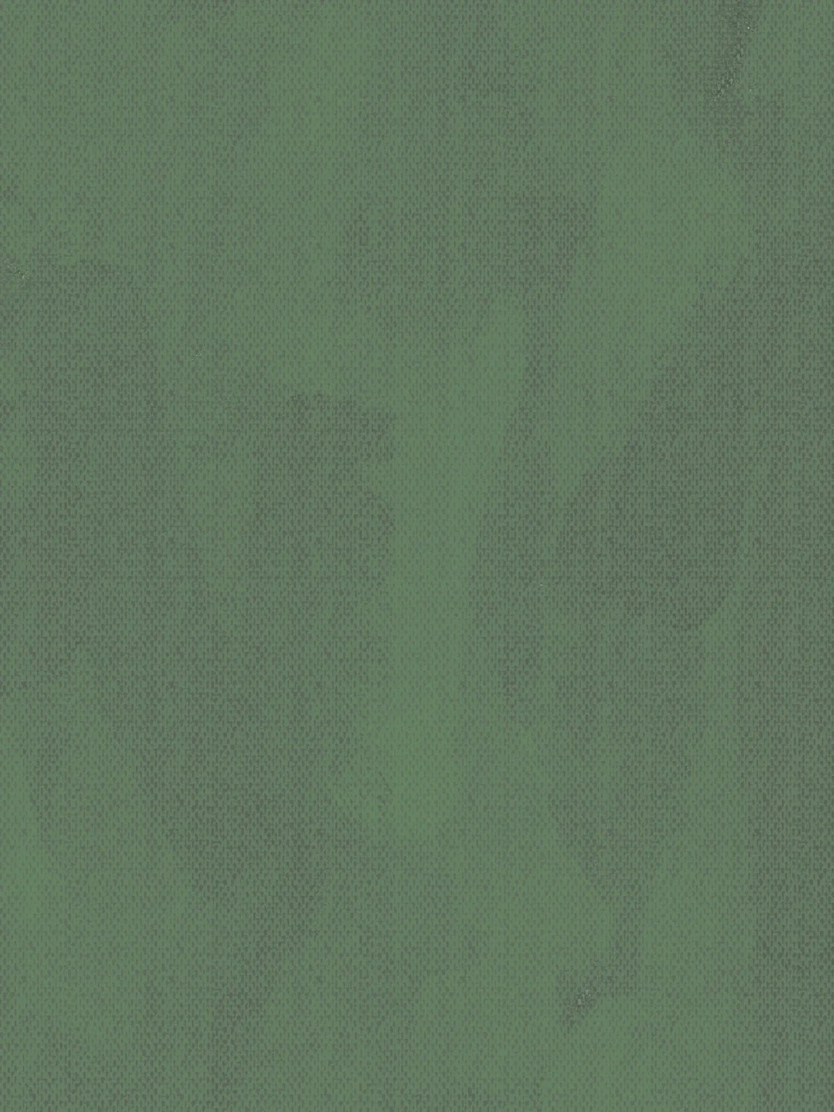 Cotton Lycra / Green